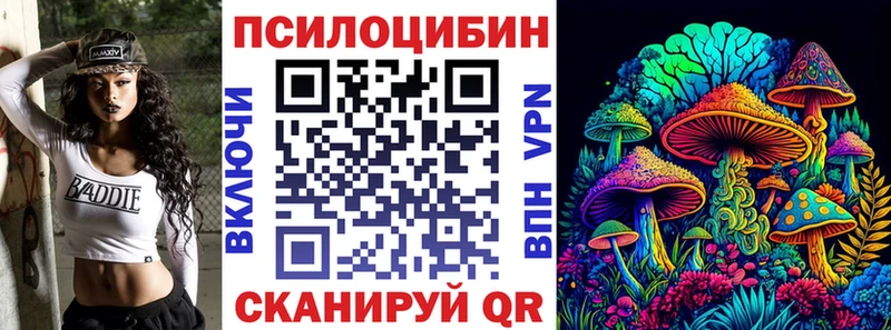 Купить  Лысьва  Псилоцибиновые грибы Psilocybe 